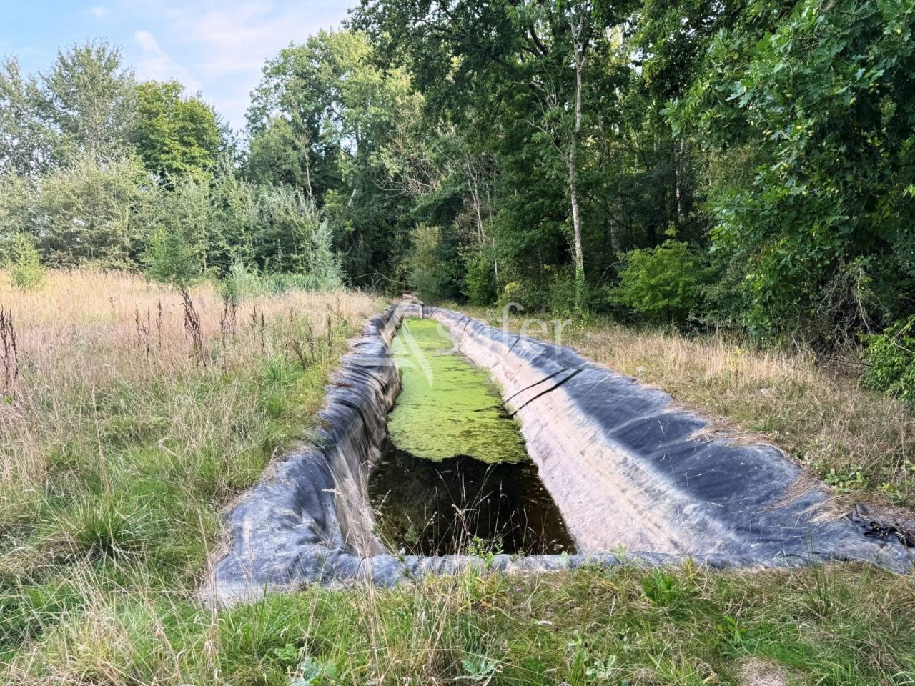 Azienda avicola In vendita Seine-et-Marne