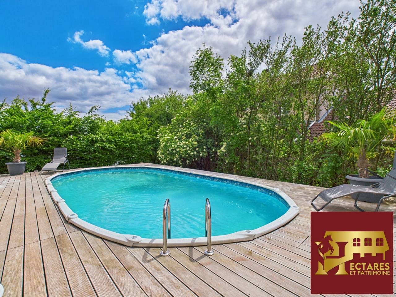 Propriet&agrave; equestre In vendita Meurthe-et-Moselle