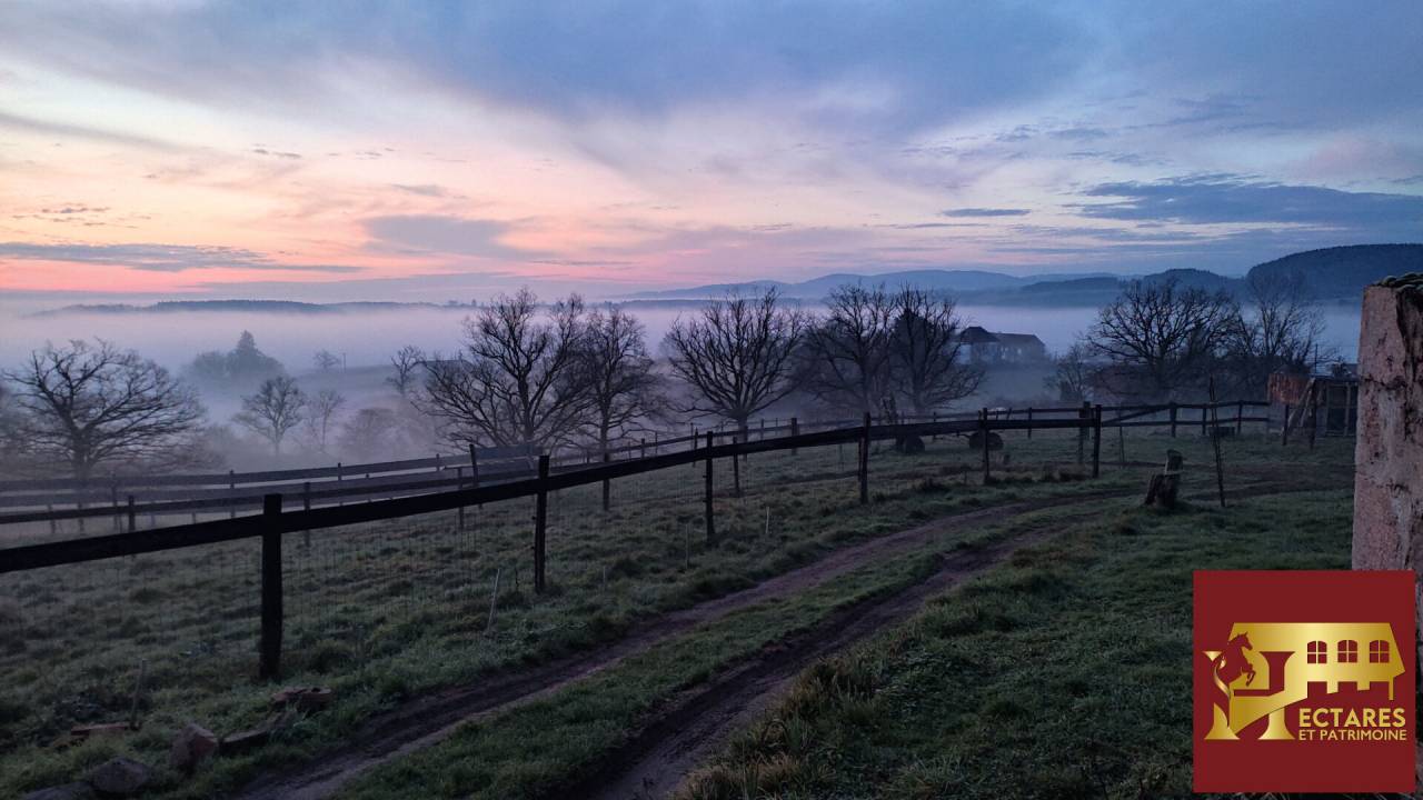 Alloggio equestre In vendita Allier