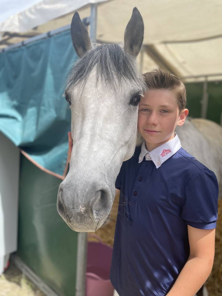 Cavalla Pony da Sella Belgio In vendita 2014 Grigio ,  MACHNO CARWYN