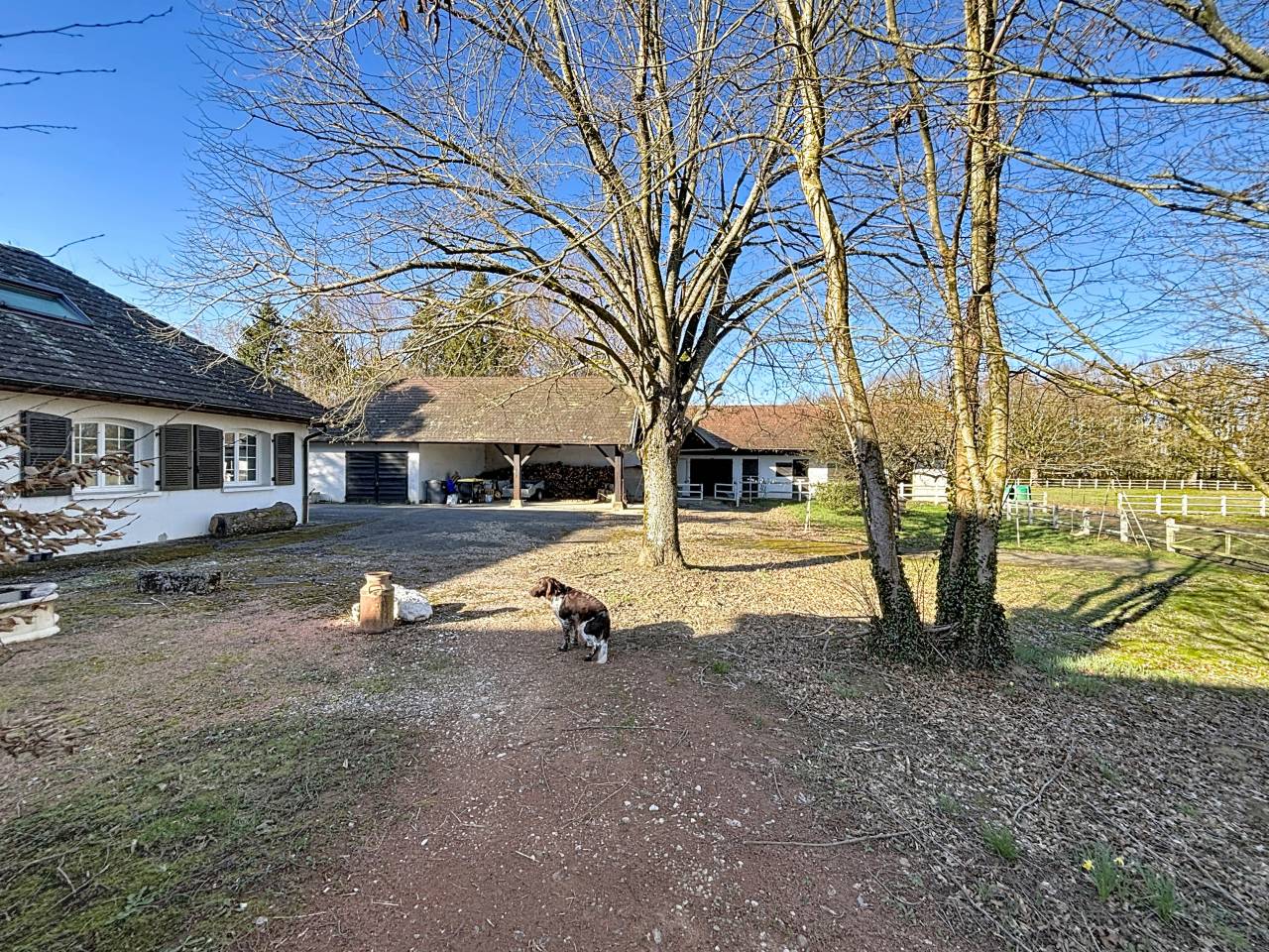 Bella dimora equestre In vendita Ain