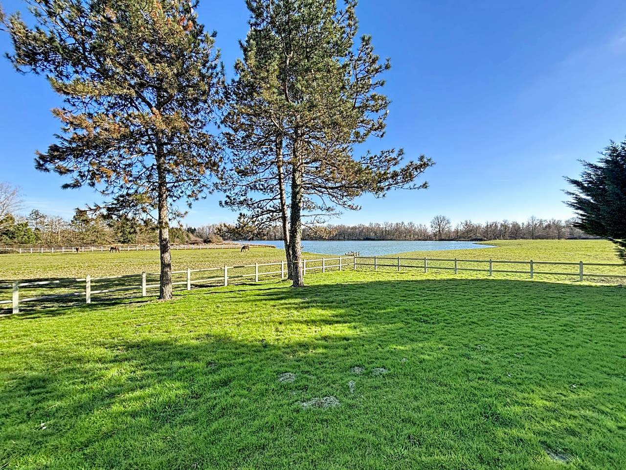 Bella dimora equestre In vendita Ain