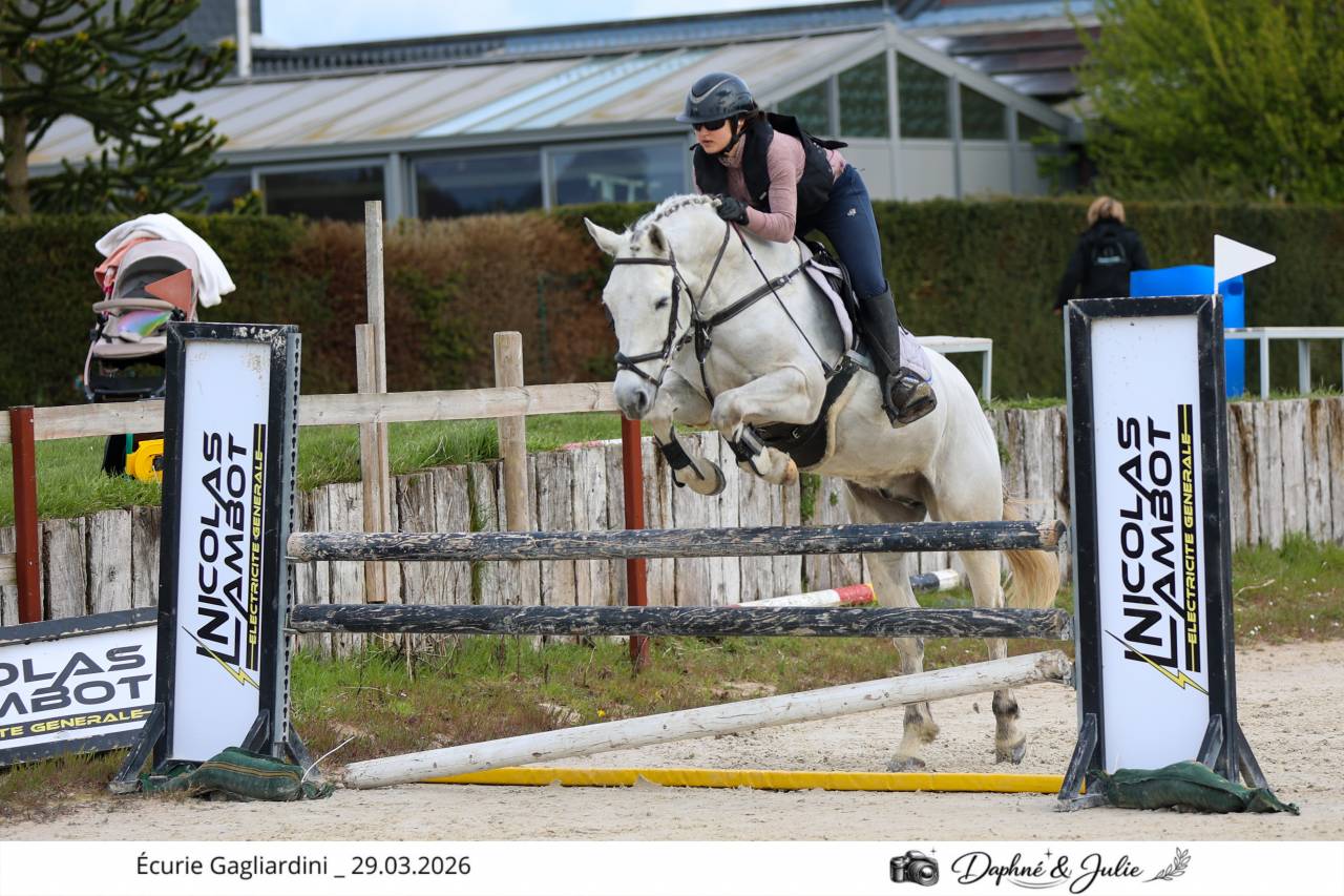 Castrone Altre Razze di Pony In vendita 2019 Bianco