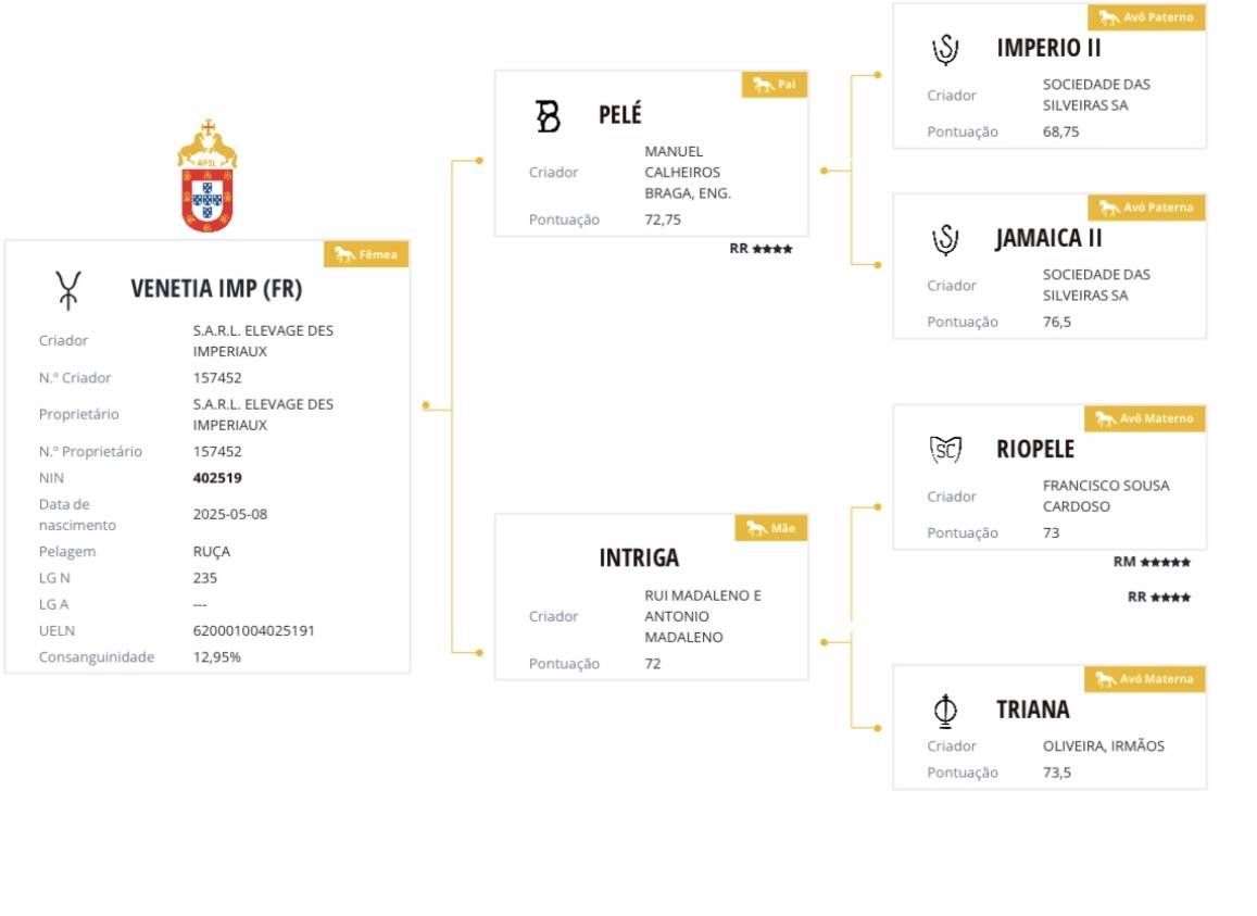 Puledra Lusitano In vendita 2025 Grigio ,  Pel&eacute; MBR