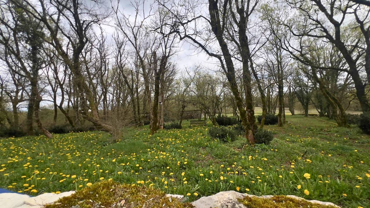 Bella dimora equestre In vendita Lot