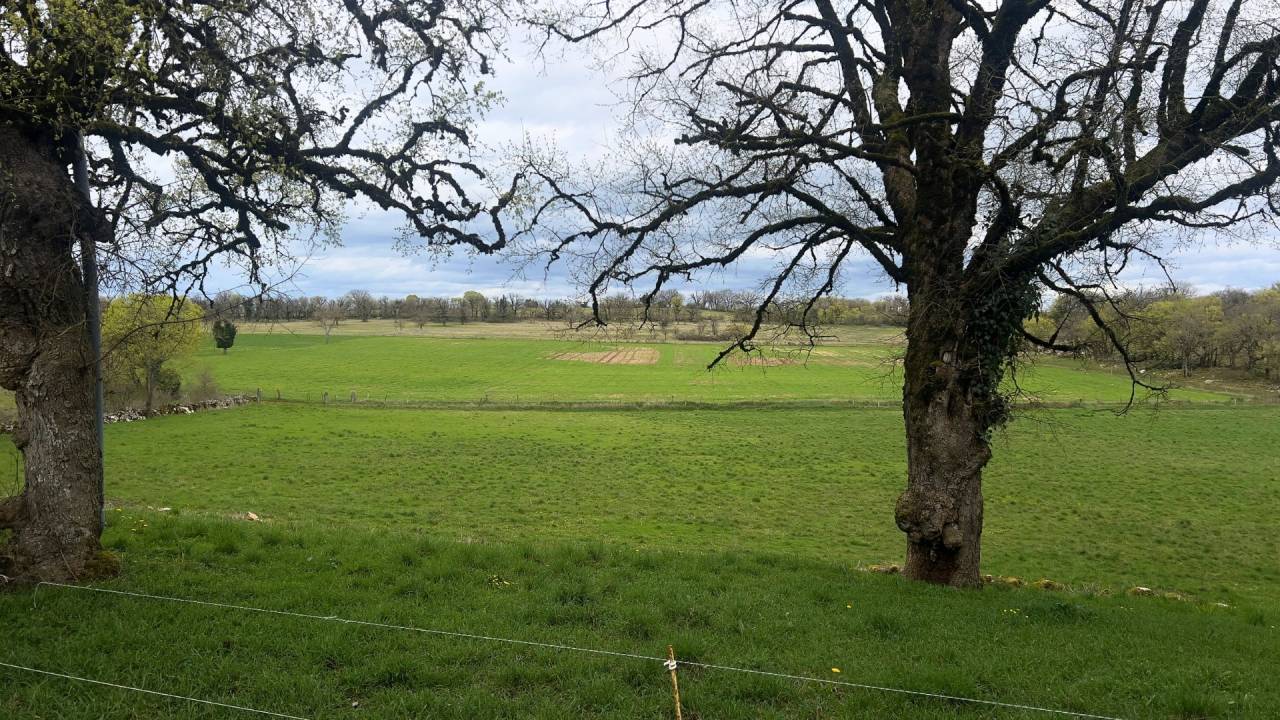 Bella dimora equestre In vendita Lot