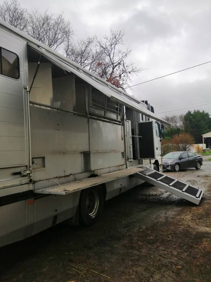 Camion per Cavalli Mercedes Actros  2005 Occasione