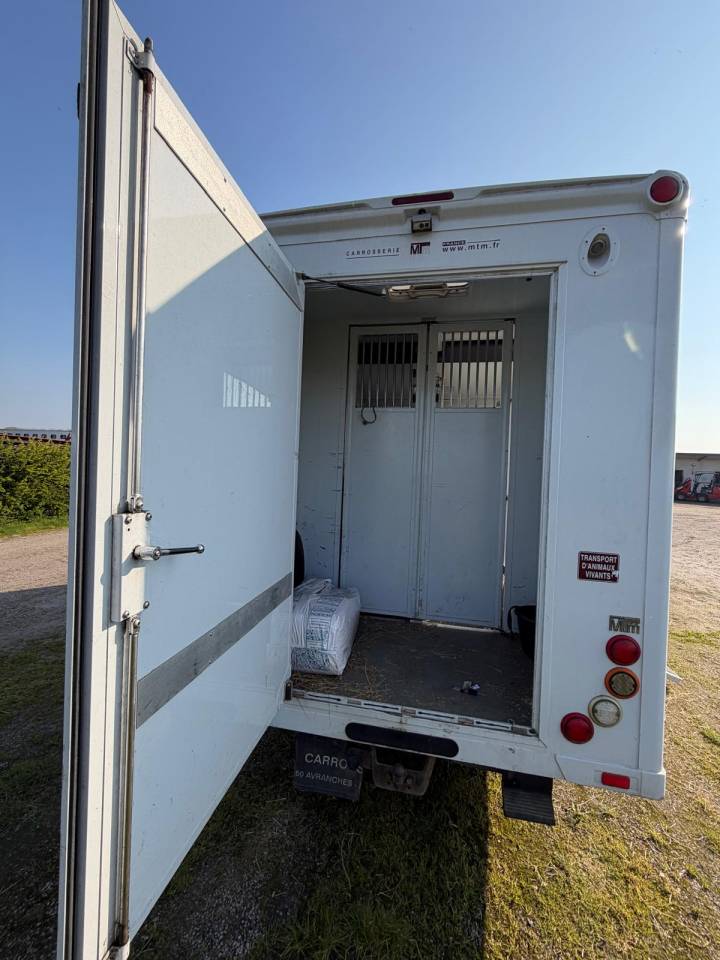 Van per Cavalli Fiat  FIAT MTM 2016 Occasione