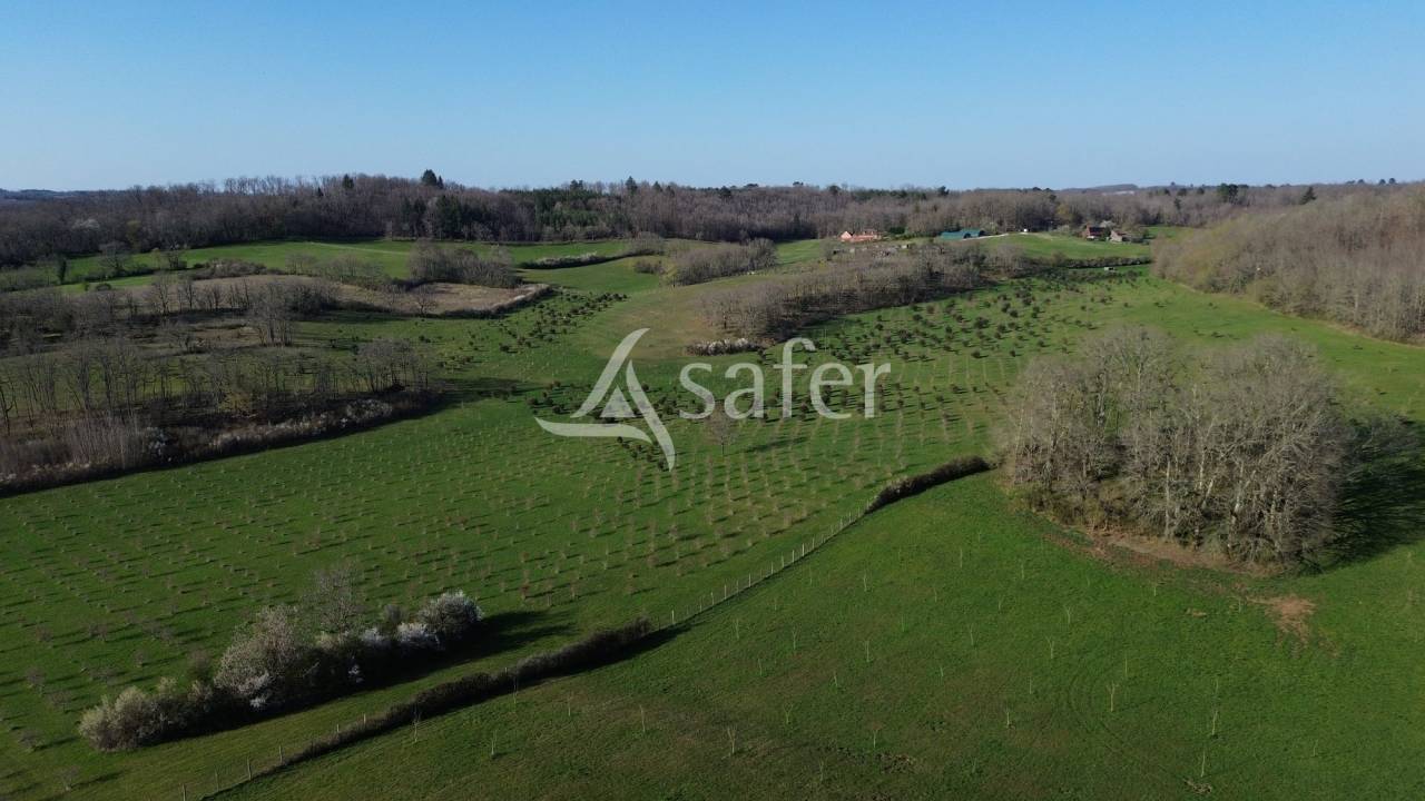 Azienda agricola In vendita Dordogne