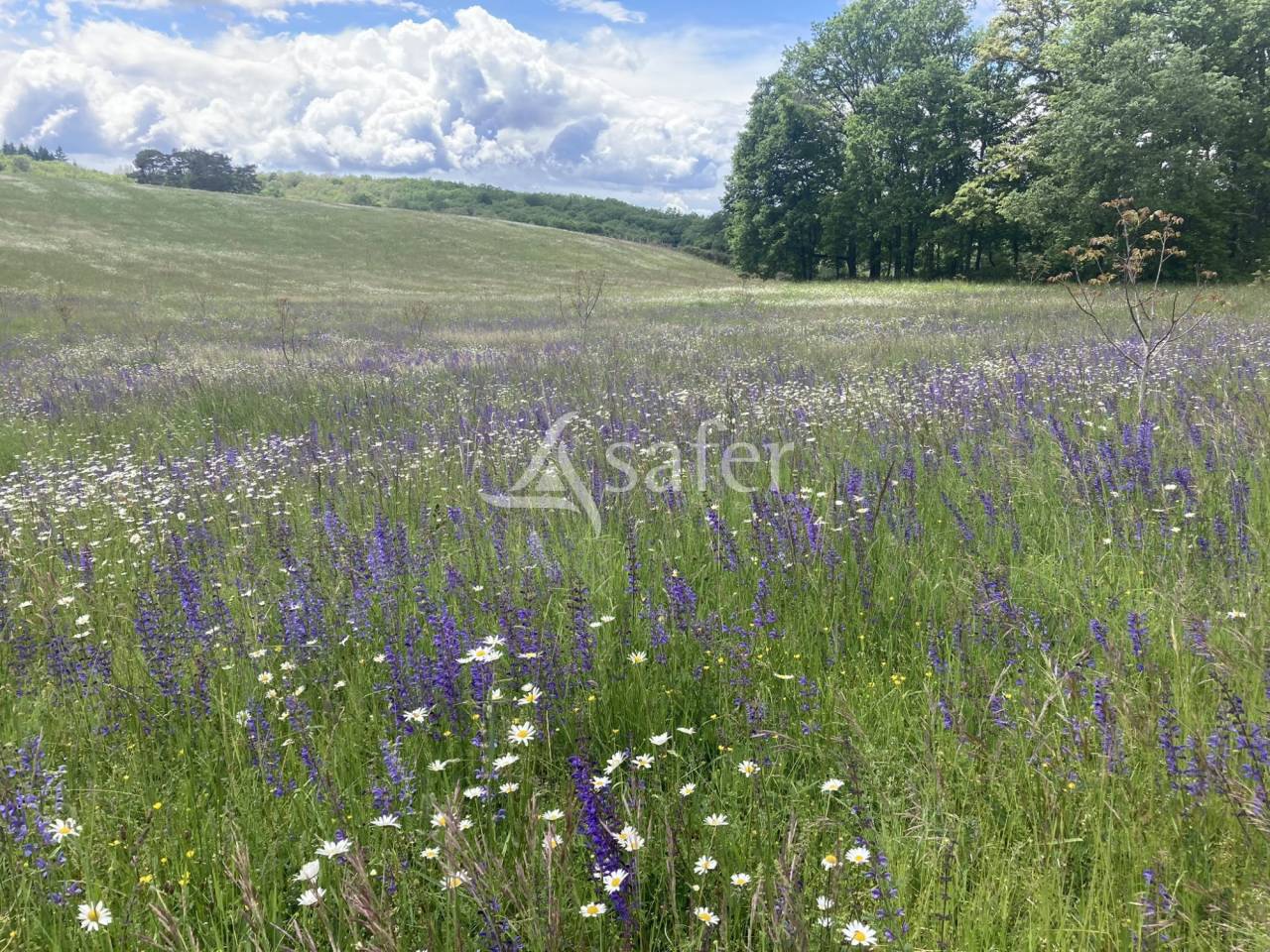 Azienda agricola In vendita Dordogne