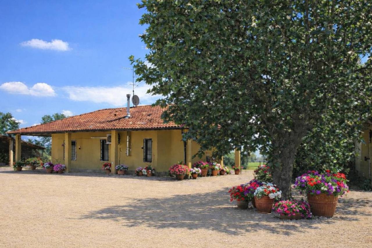 Complesso imm. adibito ad Azienda Agricola con Maneggio