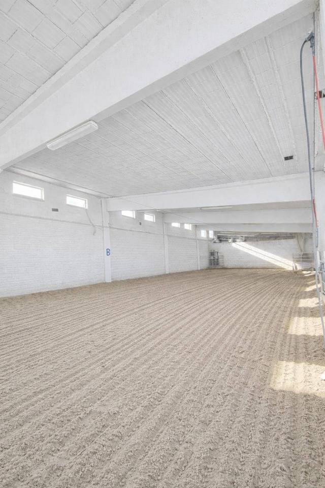 Complesso imm. adibito ad Azienda Agricola con Maneggio