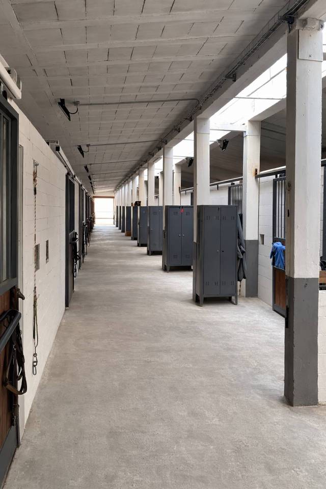 Complesso imm. adibito ad Azienda Agricola con Maneggio