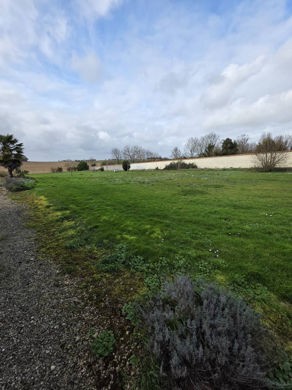 Bella dimora equestre In vendita Charente-Maritime
