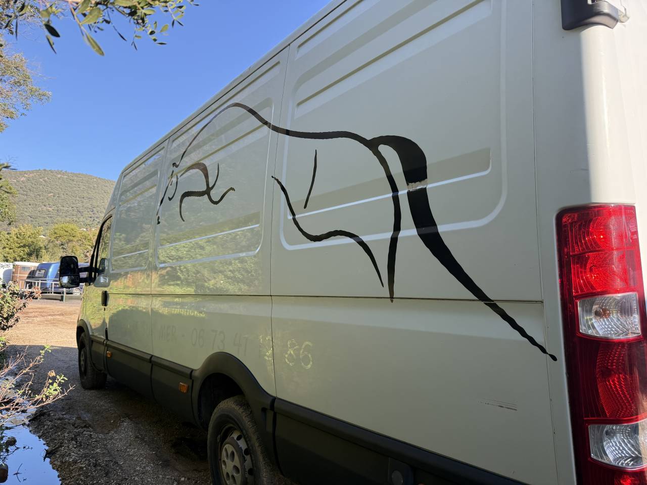 Van per Cavalli Iveco Daily 2007 Occasione