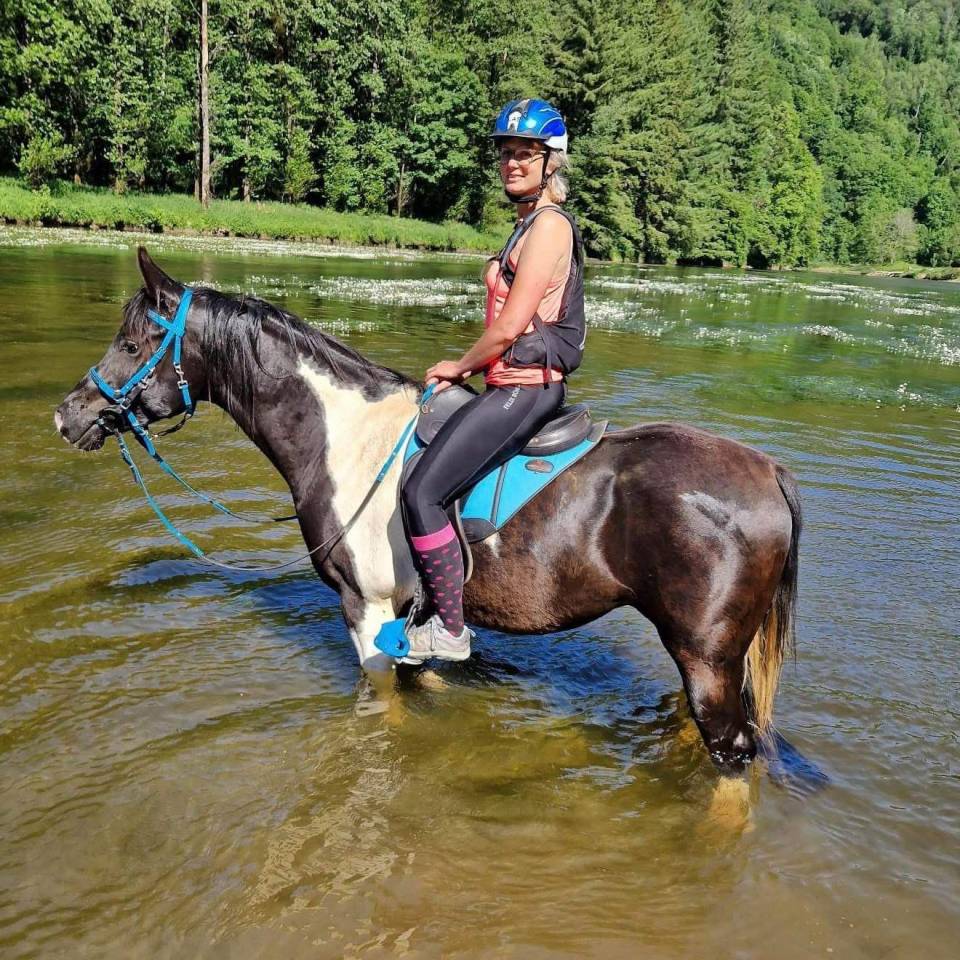 Castrone Mezzo Sangue Arabo In vendita 2017 Tobiano