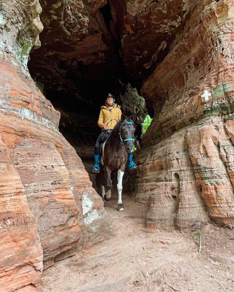 Castrone Mezzo Sangue Arabo In vendita 2017 Tobiano