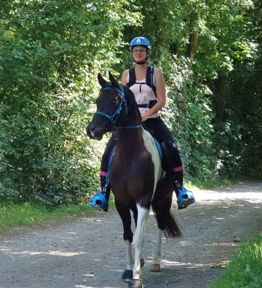 Castrone Mezzo Sangue Arabo In vendita 2017 Tobiano