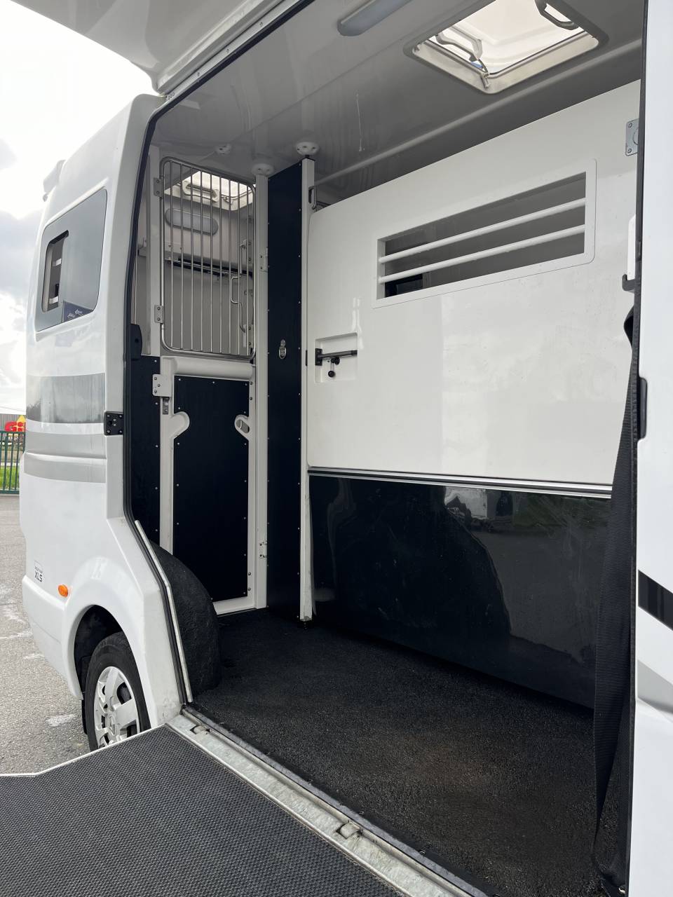 Van per Cavalli Barbot master 2021 Occasione