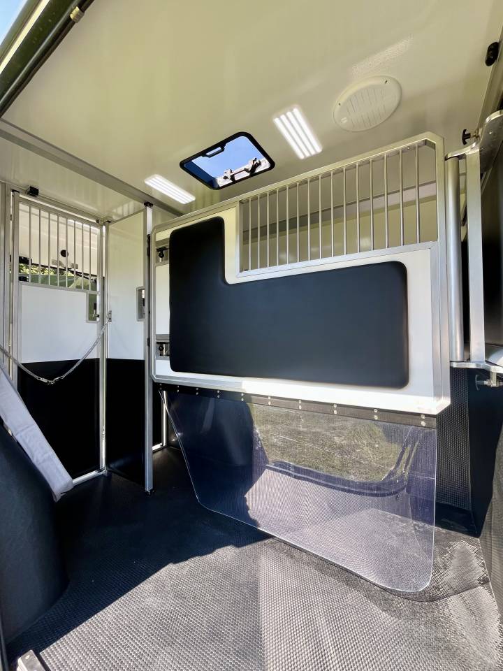 Van per Cavalli AKX  2026 Nuovo