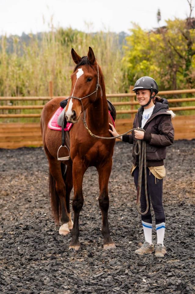 Castrone Sella Francese In vendita 2023 Baio ,  Varennes du breuil