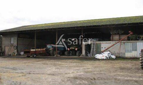 Azienda agricola In vendita Indre-et-Loire