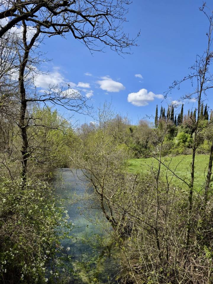 Bella dimora equestre In vendita Dr&ocirc;me
