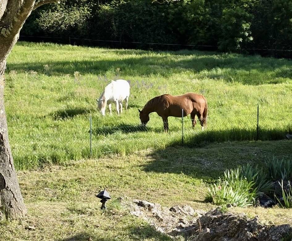 Bella dimora equestre In vendita Dr&ocirc;me