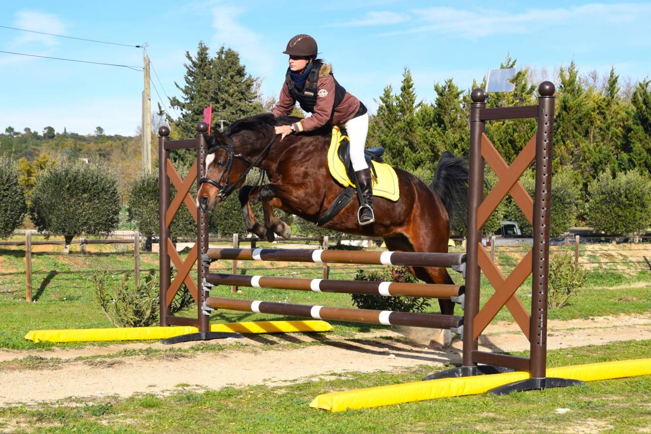 Cavalla Purosangue Arabo In vendita 2013 Baio ,  PSYTADEL
