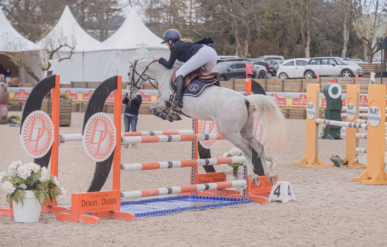 Castrone PFS Pony Francese da Sella In vendita 2014 Grigio