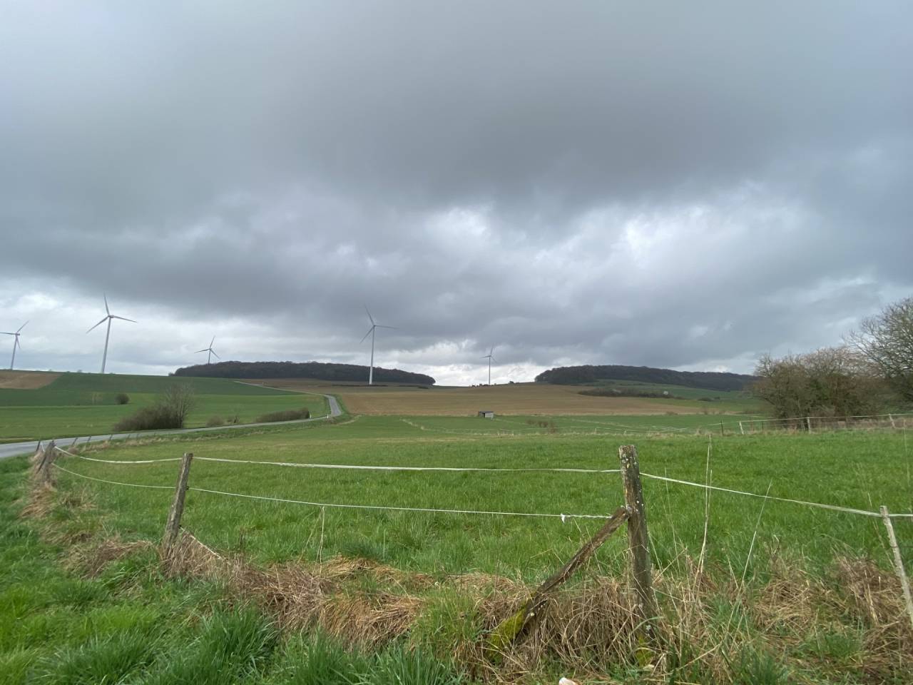 Bella dimora equestre In vendita Meurthe-et-Moselle