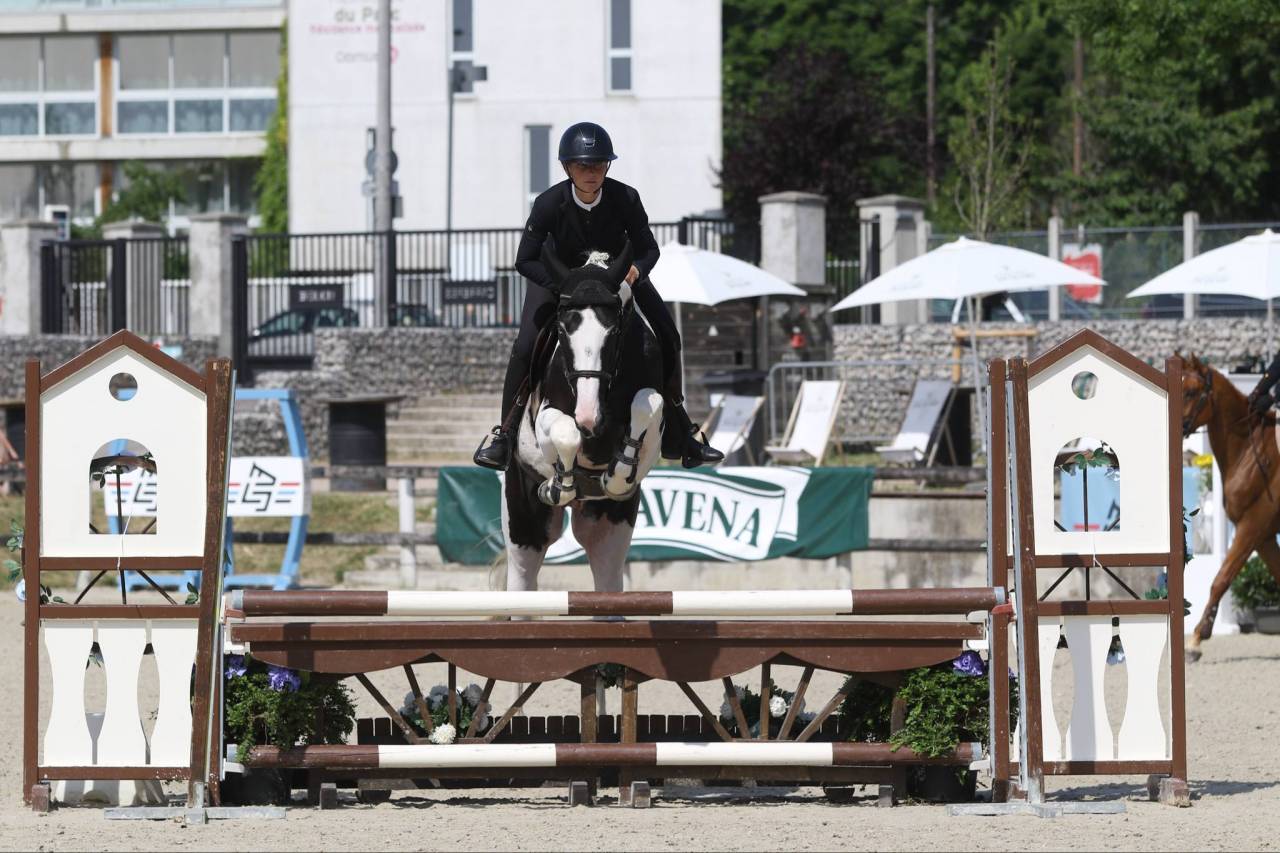 LINVICTUS D'ENJOY - AES Anglo European Studbook 2021