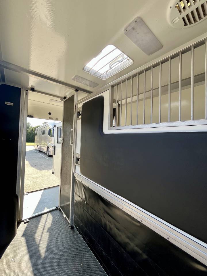 Van per Cavalli STX  2021 Occasione