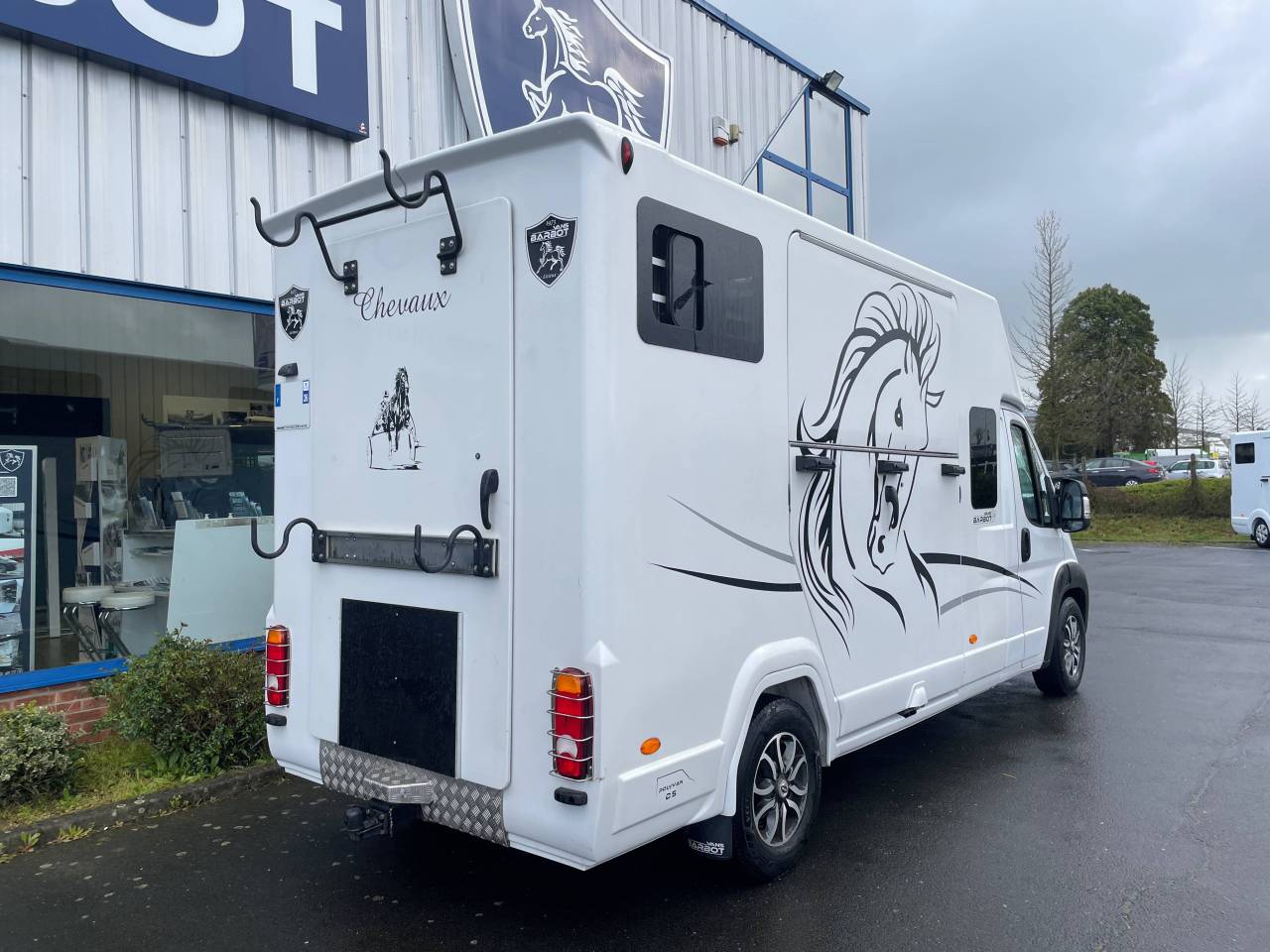 Van per Cavalli Barbot Ducato 2022 Occasione