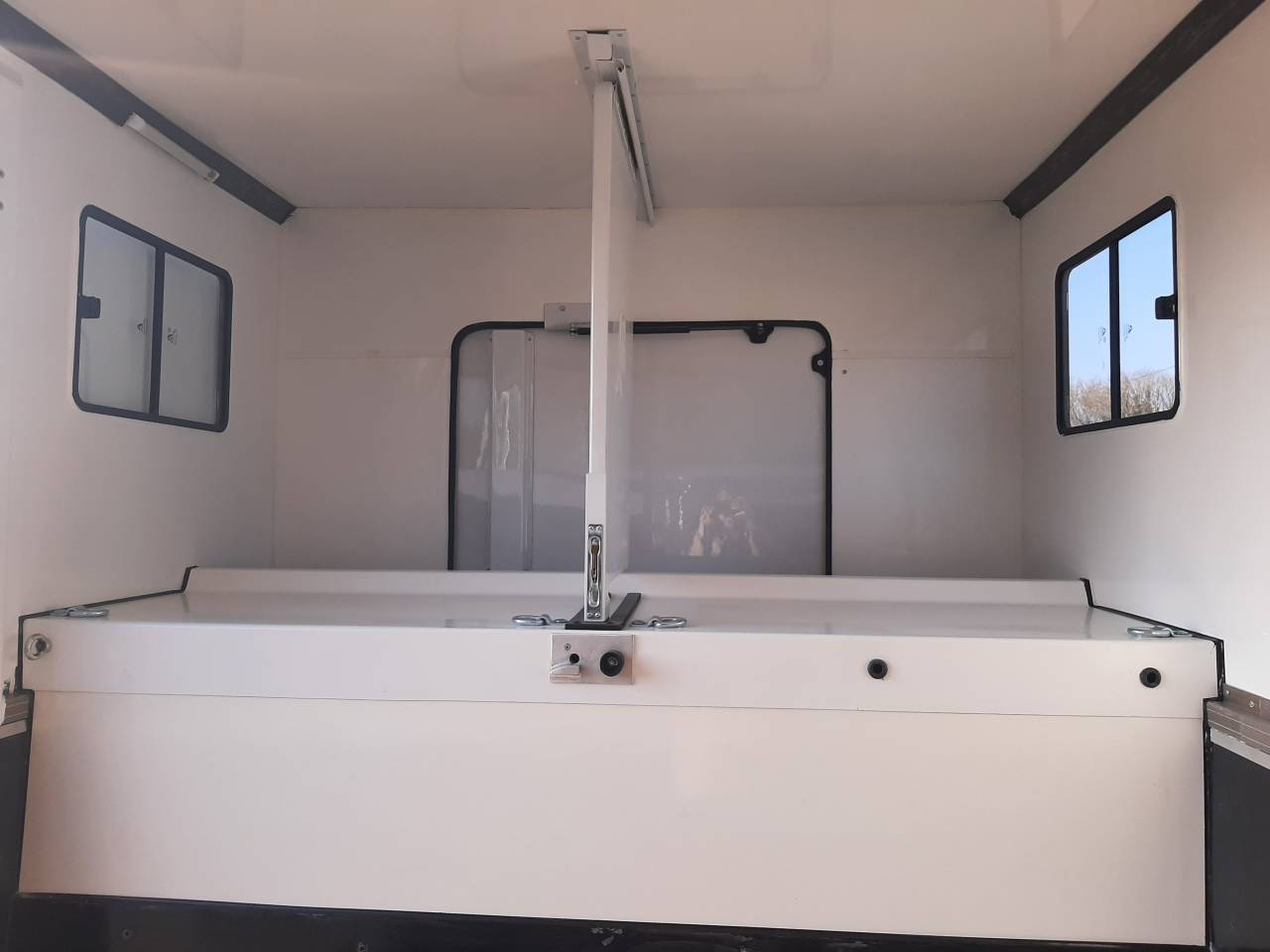 Van per Cavalli Renault Master 2022 Occasione