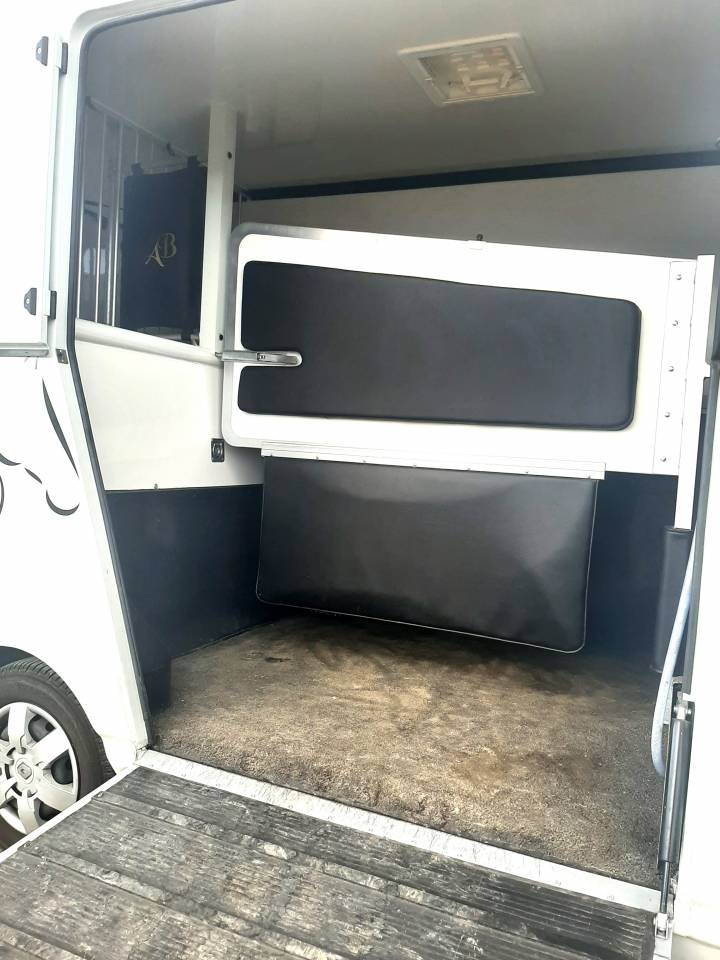 Van per Cavalli Renault Master 2018 Occasione