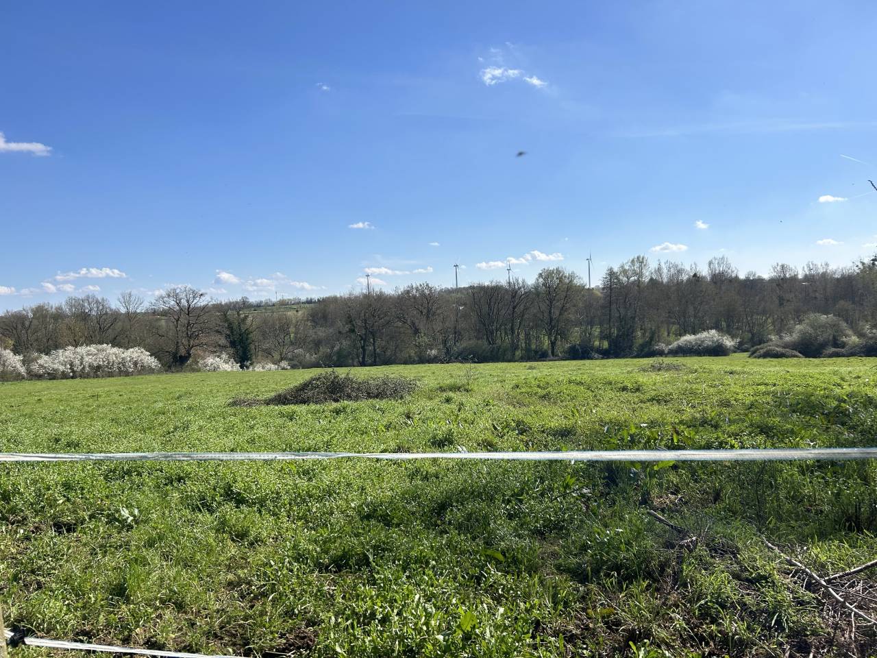 Centro ippico In vendita Deux-S&egrave;vres