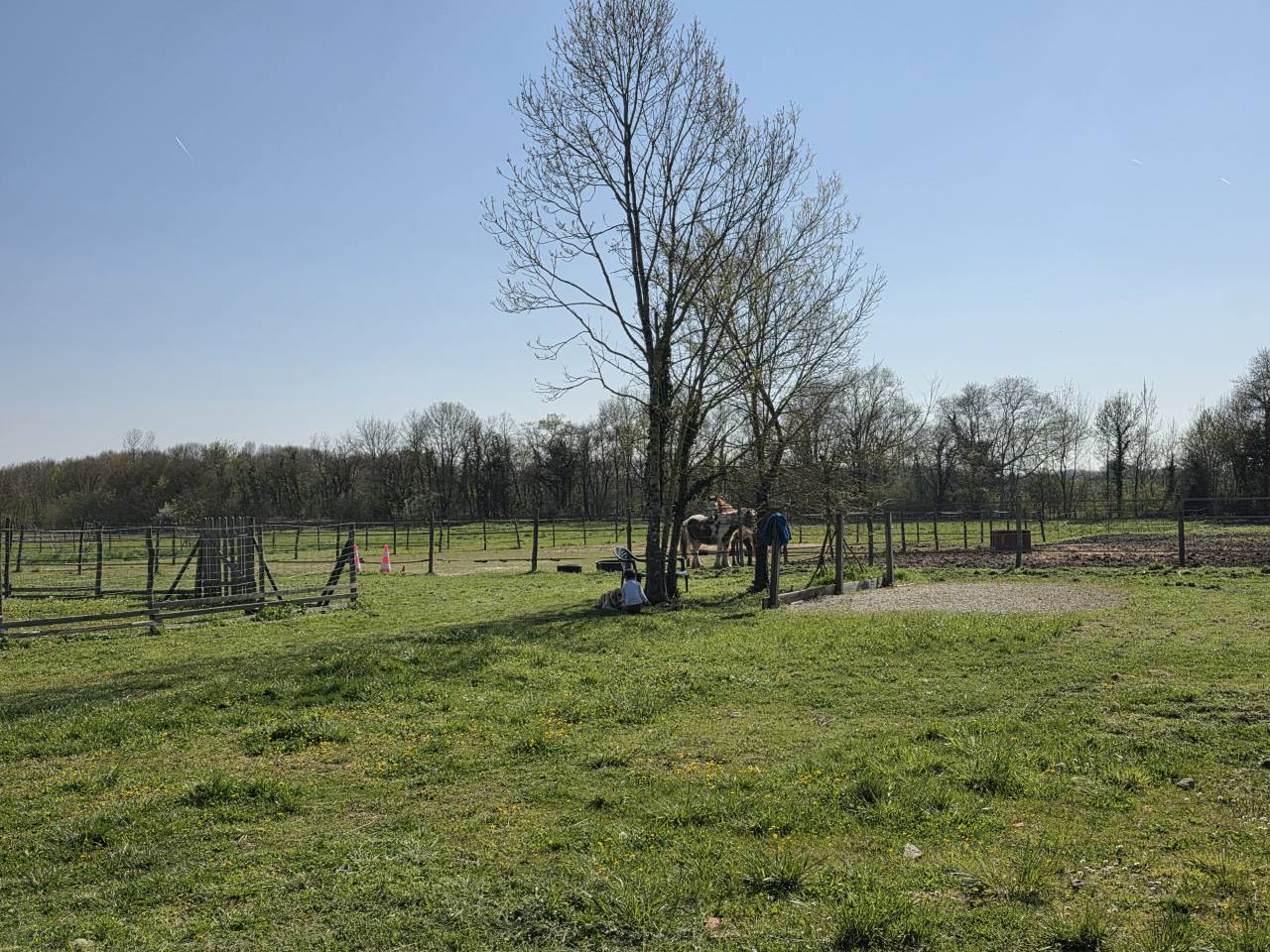Bella dimora equestre In vendita Charente-Maritime