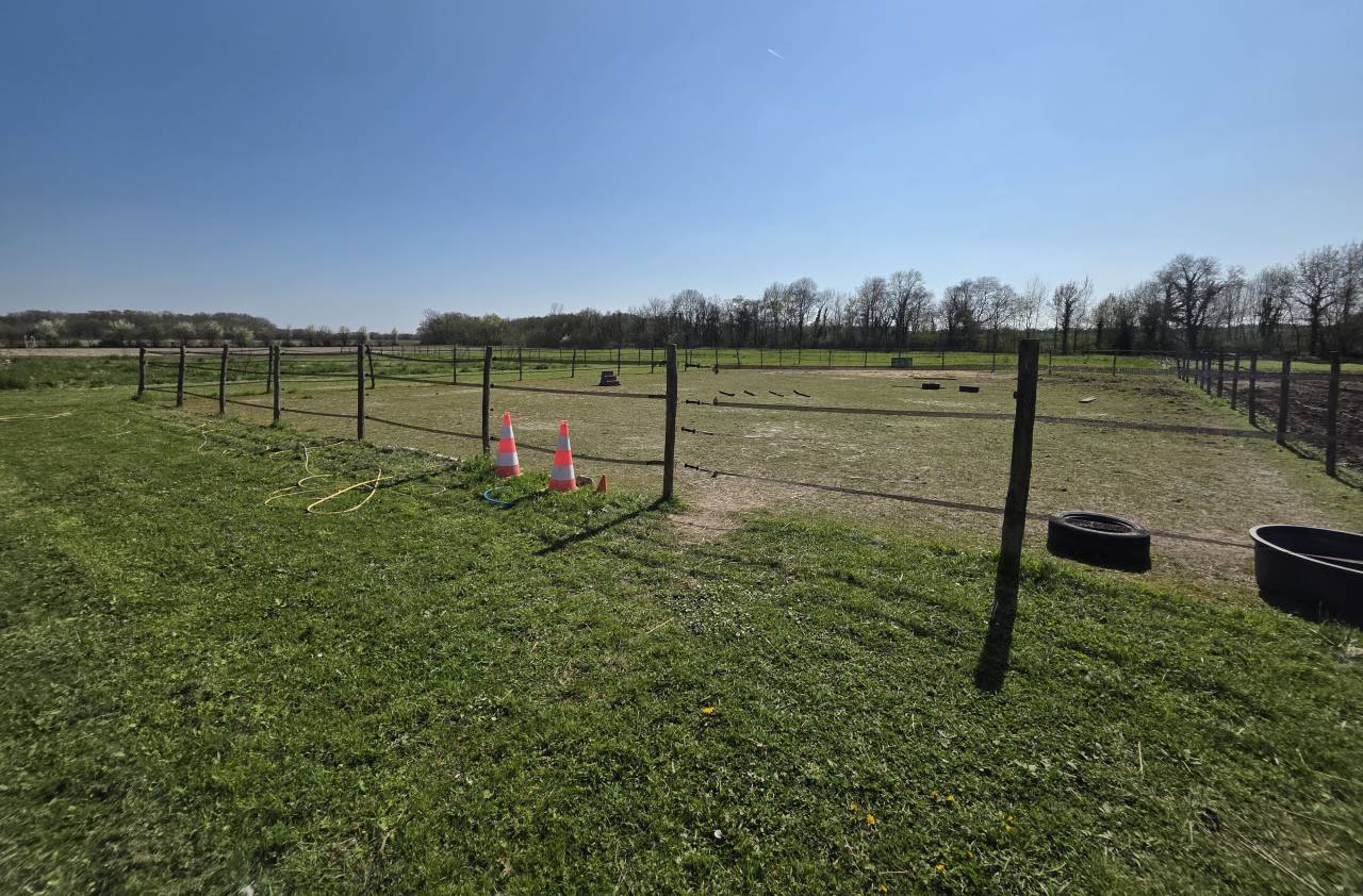 Bella dimora equestre In vendita Charente-Maritime