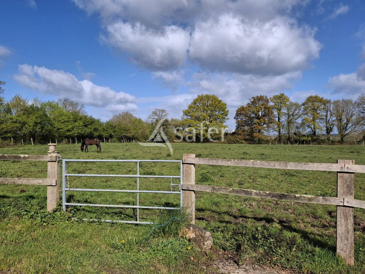 Azienda agricola In vendita Loire-Atlantique