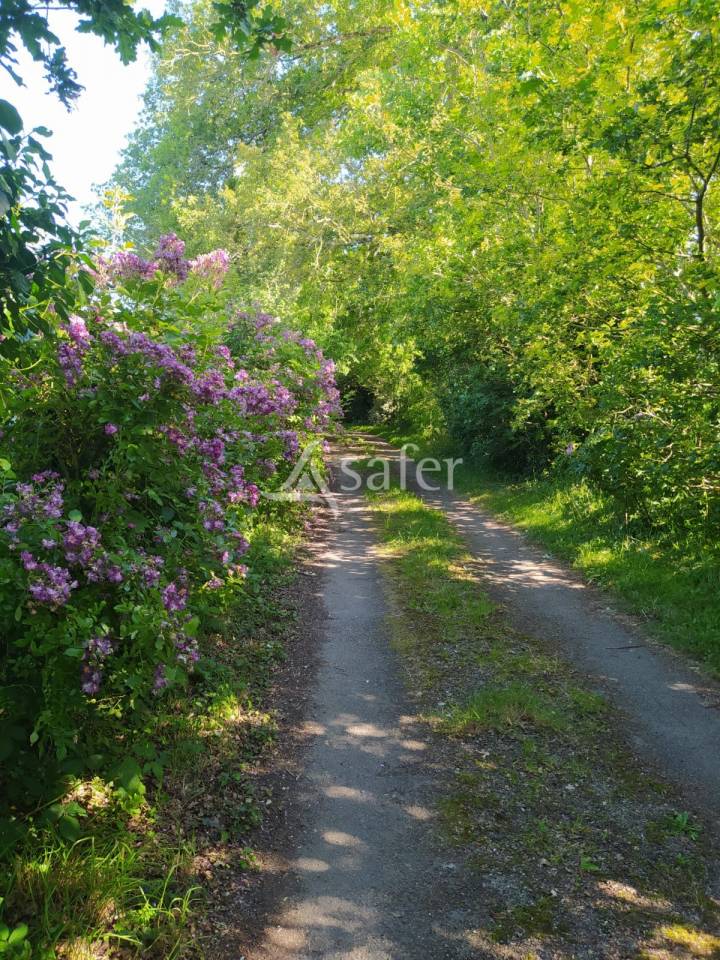 Azienda agricola In vendita Loire-Atlantique