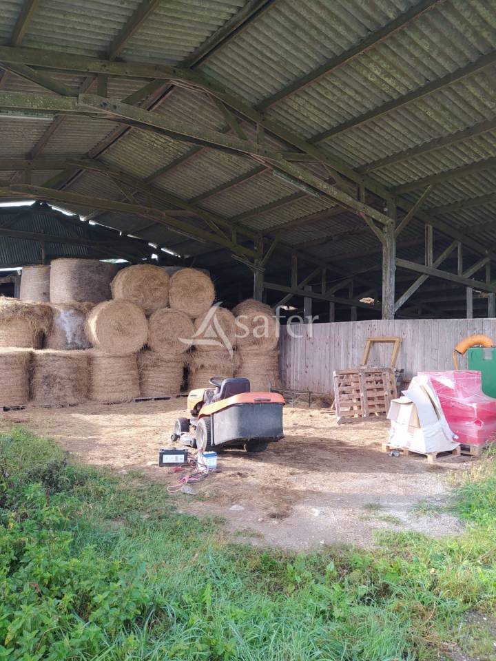 Azienda agricola In vendita Loire-Atlantique