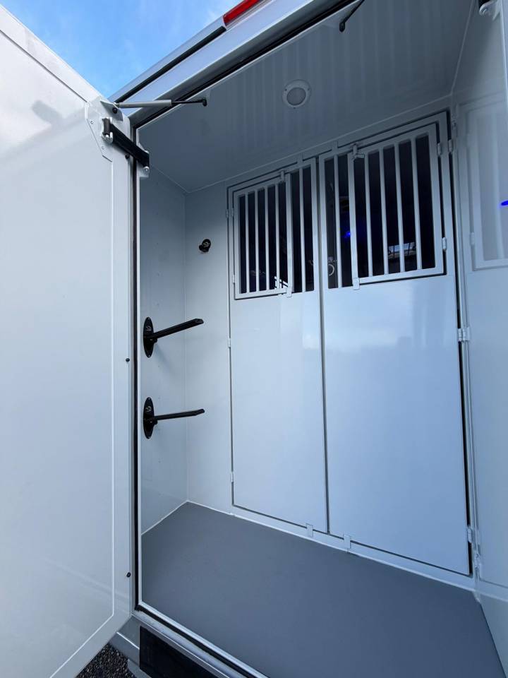 Van per Cavalli TBST Renault Master 2026 Nuovo