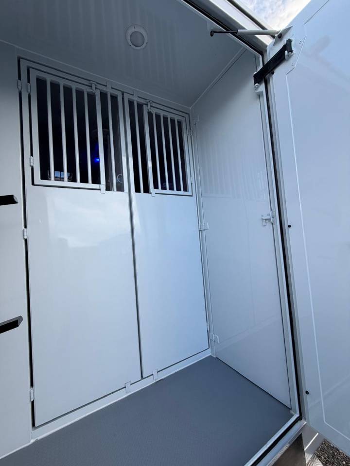 Van per Cavalli TBST Renault Master 2026 Nuovo