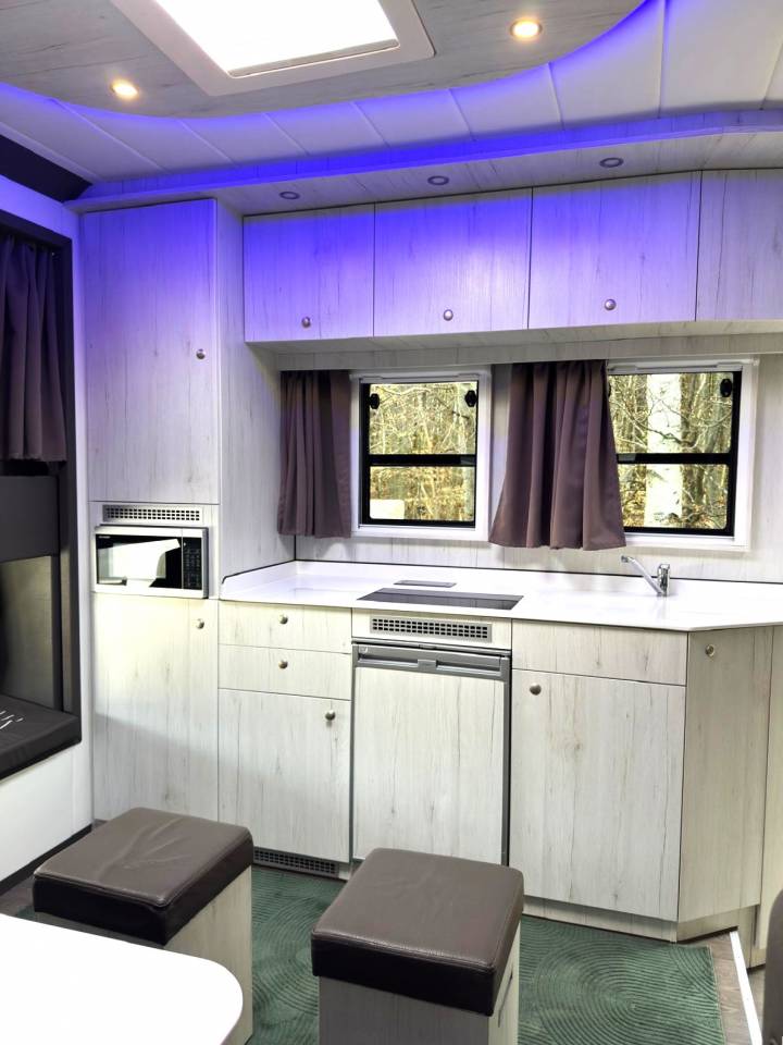 Camion per Cavalli Mercedes MERCEDES-BENZ 0 Occasione