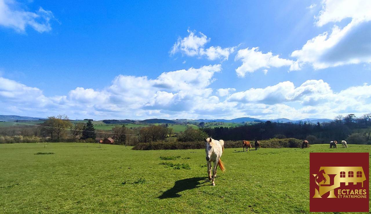 Propriet&agrave; equestre In vendita Allier