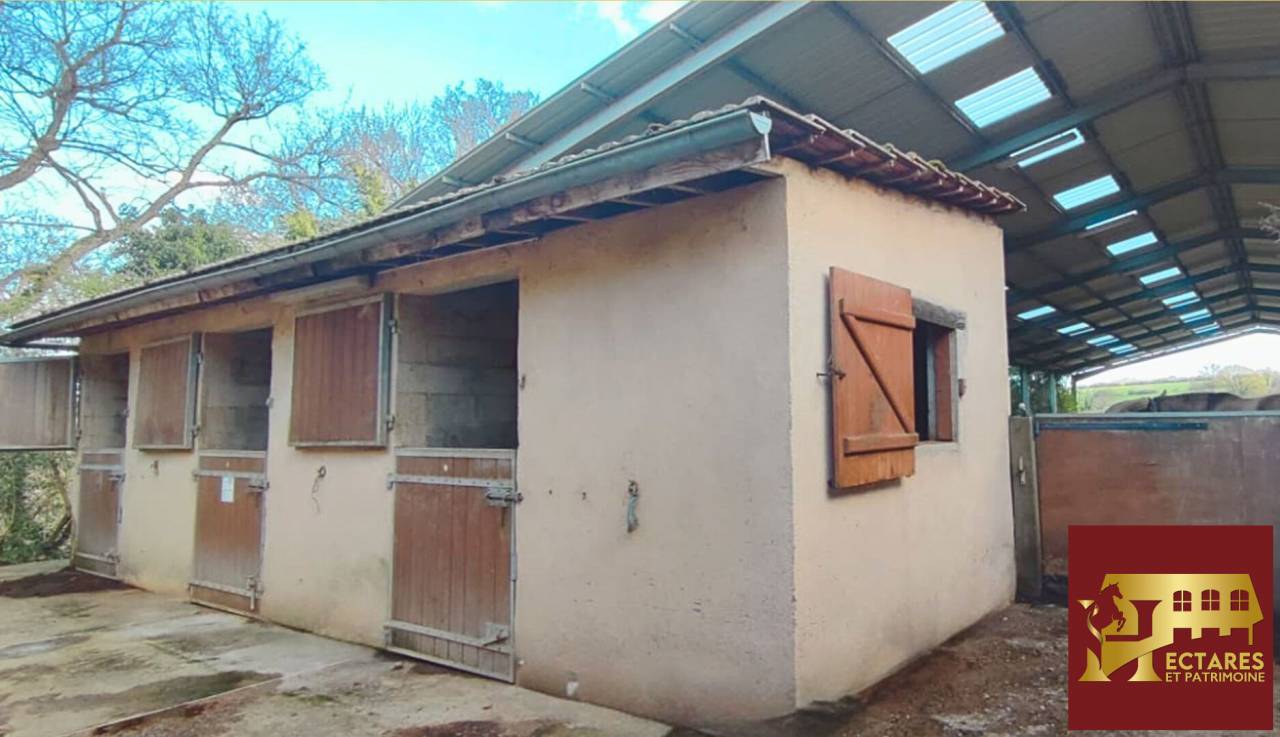 Propriet&agrave; equestre In vendita Allier