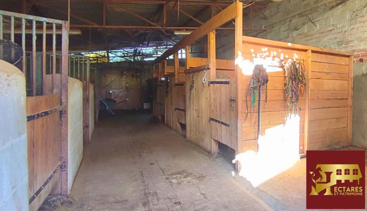 Propriet&agrave; equestre In vendita Allier