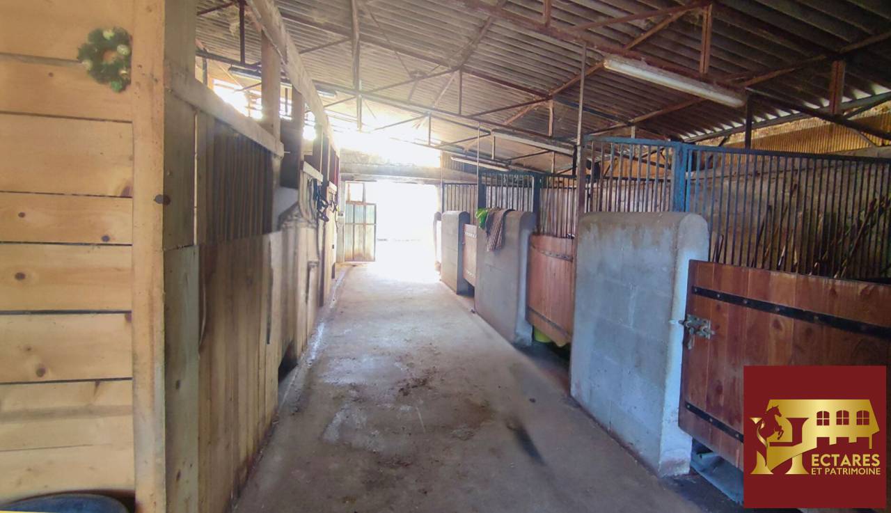 Propriet&agrave; equestre In vendita Allier
