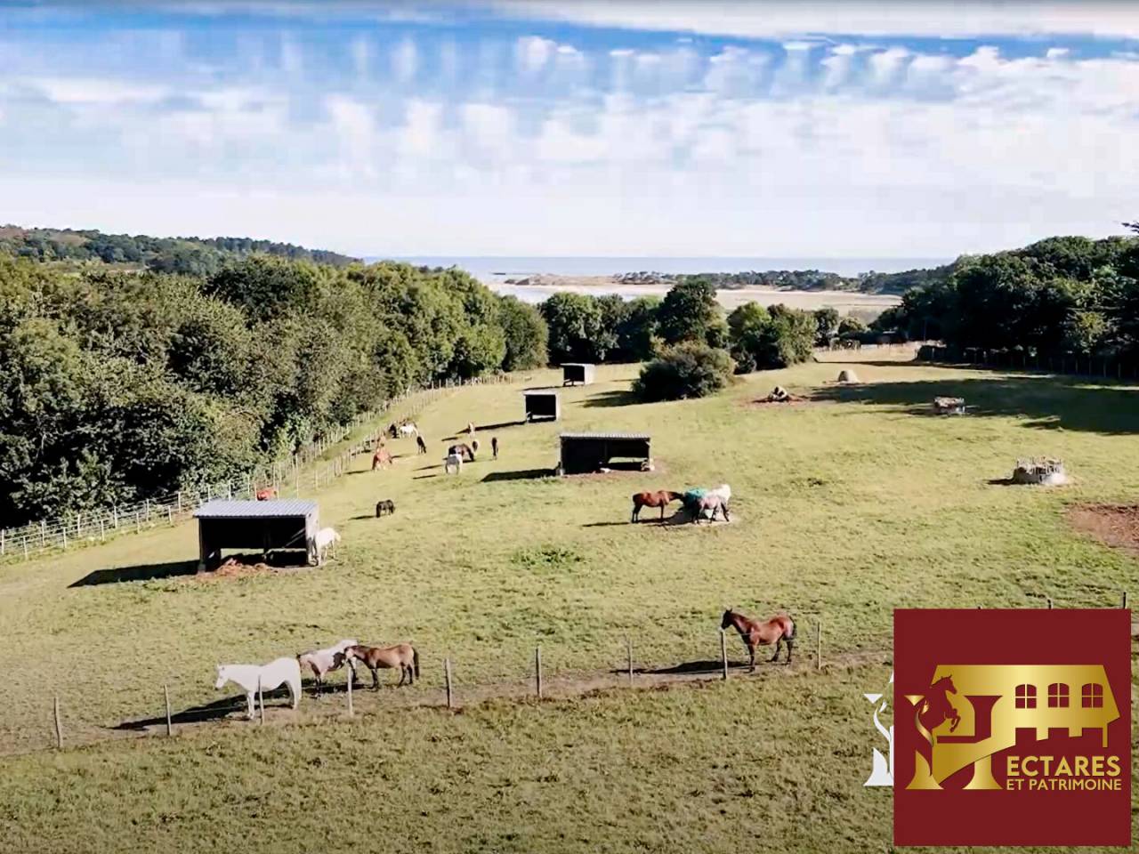 Centro ippico In vendita C&ocirc;te d'Armor